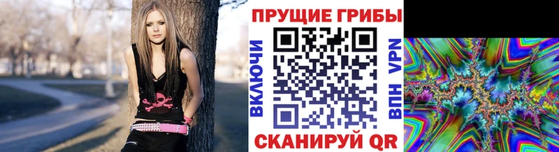 даркнет сайт  Новосиль  Псилоцибиновые грибы мухоморы 